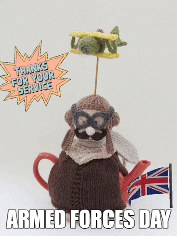 Armed Forces Teapot GIF by TeaCosyFolk