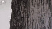 Little Man Tree GIF by Adult Swim