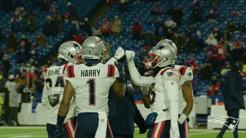 GIF by New England Patriots