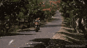Cannon Films Film GIF by RETRO-FIEND