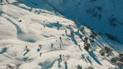GIF by AirVuz