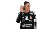 Women Euro Sticker by EHF