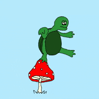 stuck mushroom GIF by stalebagel
