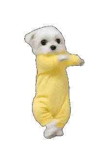 Dance Dog Sticker