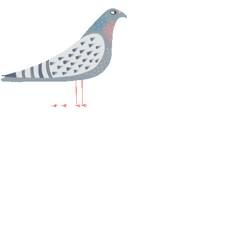 nicsquirrell giphyupload nature animal bird Sticker