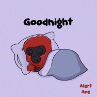 Good Night Monkey GIF by VeeFriends