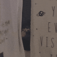 Cat Hello GIF