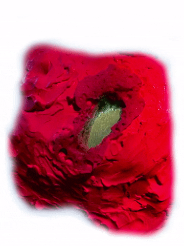 qwertow giphyupload GIF