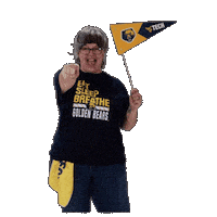 Lets Go Cheer Sticker by WVU Tech Golden Bears