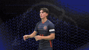 Cnms GIF by Carson-Newman Athletics