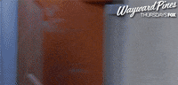 wayward pines GIF by Fox TV