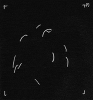 heart bird GIF by TraceLoops