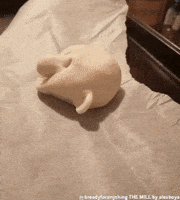 Create Making-Of GIF by Alex Boya