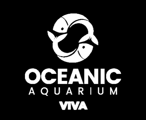 oceanicaquarium giphygifmaker bc aquarium balneariocamboriu GIF