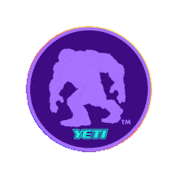 Lacrosse Play Big Sticker by Yeti Stick Company