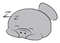 Florida Ami Sticker by Visit Bradenton