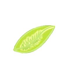 fan yes Sticker by MissAllThingsAwesome