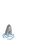 Ocean Swimming Sticker by Sharing Alaska