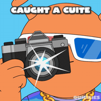 Social Media Smile GIF by Quirk Life Studios