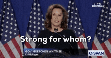 Gretchen Whitmer GIF by GIPHY News