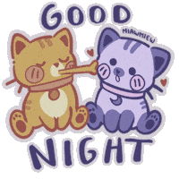 Good Night Buenas Noches Sticker by E3maly