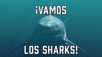 ยกVamos Los Sharks!