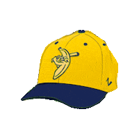 Party Animals Sticker by The Savannah Bananas