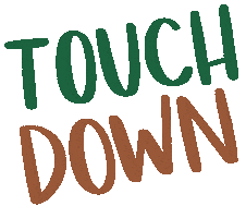 Touch Down Super Bowl Sticker