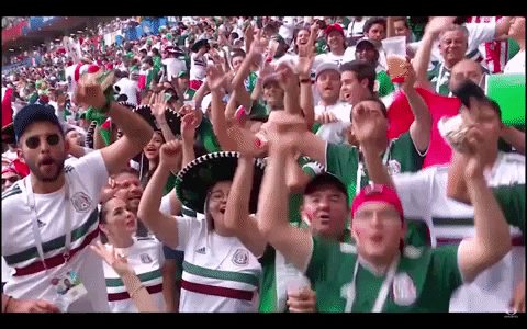 copa del mundo mexico GIF by MiSelecciónMX