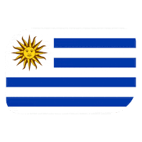 World Cup Football Sticker
