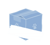 Sticker by Bright Star Kids