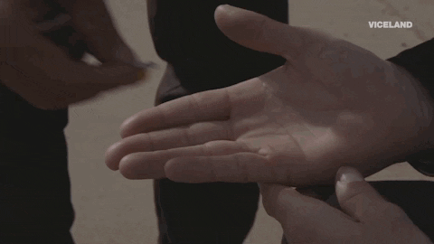 viceland GIF by ABANDONED