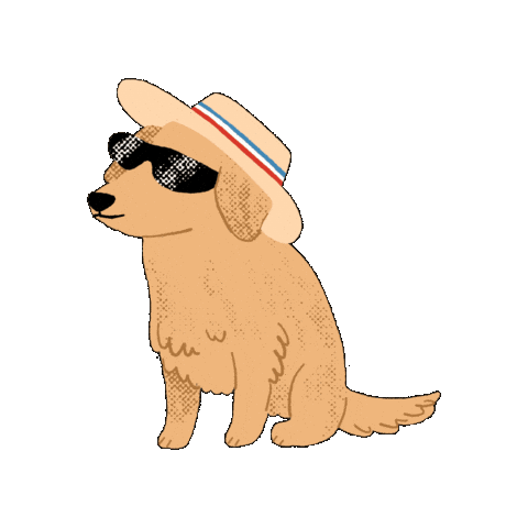 Fiestas Patrias Chile Sticker by INJUV