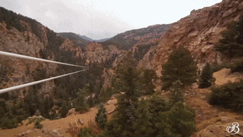 TheBroadmoor travel nature luxury hotel GIF