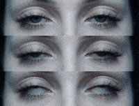 Dz GIF