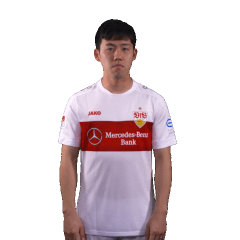 Endo Schulter Abwischen Sticker by VfB Stuttgart
