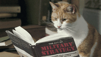 Video gif. Cat licks its paw between turning the pages of a book titled, "The Art of Military Strategy."