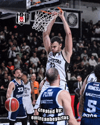 Ante Zizic GIF