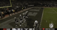 2018 Nfl Football GIF by NFL