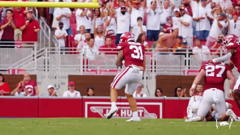 Ncaa Football Fist Pump GIF by Arkansas Razorbacks