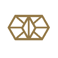 Ojodetigremezcal dance mexico musica fiesta Sticker