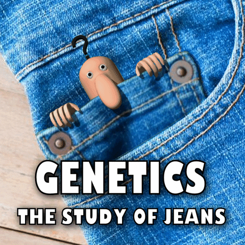 Jeans Genetics GIF