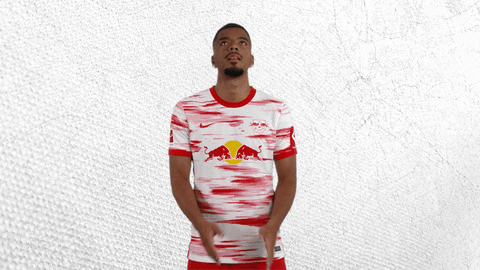 Football What GIF by RB Leipzig