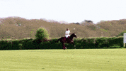 Poloclub GIF by Triskelion Polo Club