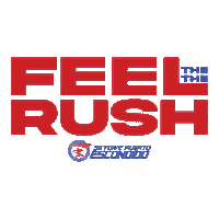 skydive ifly paracaidismo flight1 skydivepuertoescondido Sticker