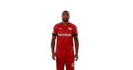 Bayer 04 Goal GIF by Bayer 04 Leverkusen