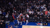 Nyk GIF by New York Knicks
