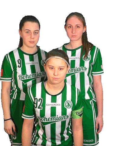 Sport Floorball Sticker by FbŠ Bohemians