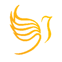 Domalberto_ faculdade dom graduacao scs Sticker