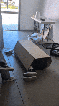 Js GIF
